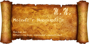 Molnár Napsugár névjegykártya